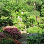 素晴らしい日本庭園です
